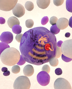 Leukemia cell cover