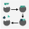 graphical abstract