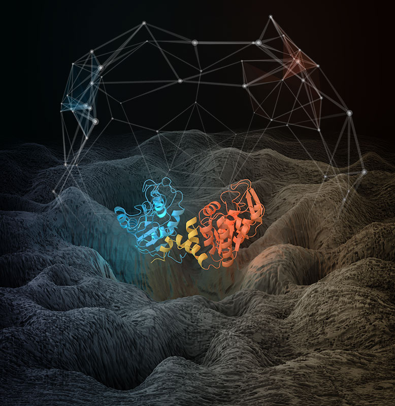 Single Molecule Dynamics