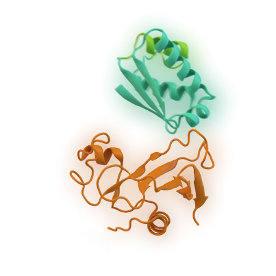 Protein Association Animation