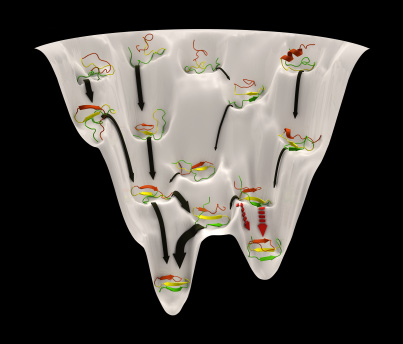 Protein Folding Funnel