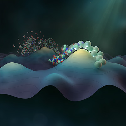 Coarse-graining protein landscapes